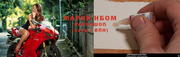 PSILOCYBIN Беломорск