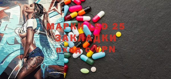 PSILOCYBIN Беломорск