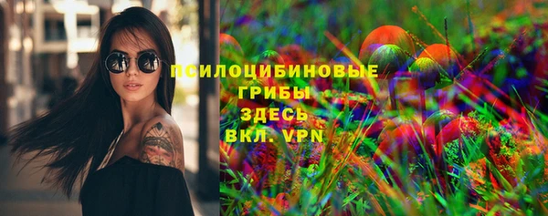 jwh Белокуриха