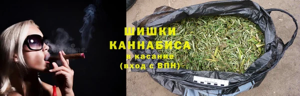 PSILOCYBIN Беломорск